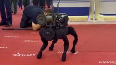 M-81, el perro robot lanzacohetes. M-81, el perro robot lanzacohetes.