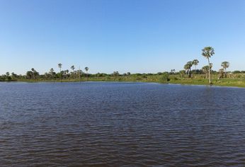 Tiene un arroyo para refrescarse en verano y muchos espacios verdes.&nbsp;