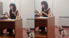 Llevó a su perro a su defensa de tesis y se volvió viral. Llevó a su perro a su defensa de tesis y se volvió viral.