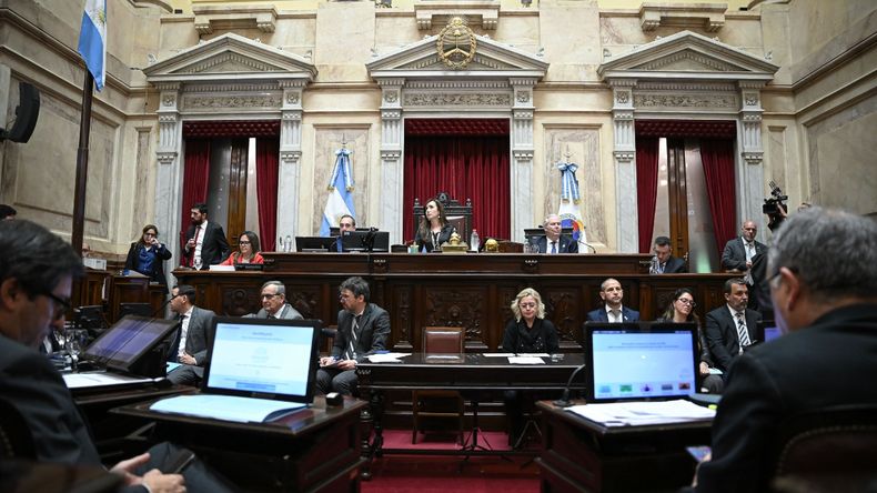 La iniciativa obtuvo media sanción y será girada a Diputados.