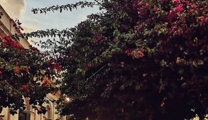 Estos pueblos de Uruguay compitieron por ser los más lindos del mundo y son perfectos para visitar