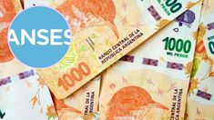 ANSES detalló quiénes pueden cobrar $22.207 en febrero. ANSES detalló quiénes pueden cobrar $22.207 en febrero.