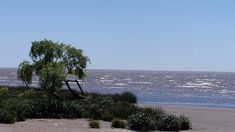 Un hombre murió ahogado en Punta Lara cuando se bañaba en el río. Un hombre murió ahogado en Punta Lara cuando se bañaba en el río.