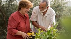 ¿Qué aspecto puede ser mucho más importante que el ejercicio y la alimentación para la longevidad? ¿Qué aspecto puede ser mucho más importante que el ejercicio y la alimentación para la longevidad?