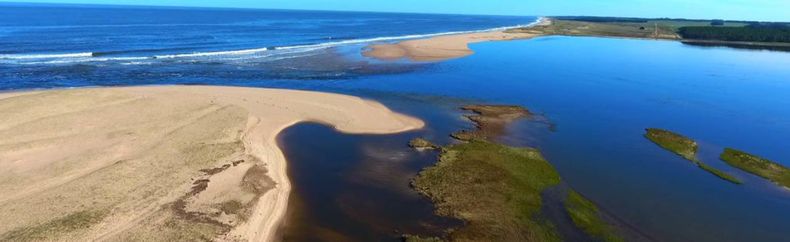 Una reserva de agua natural en Uruguay que ha sido declarada como lugar de interés por la Unesco.