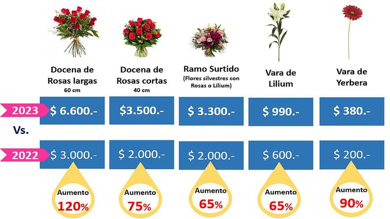 La variación del precio de las flores, entre 2022 y 2023.