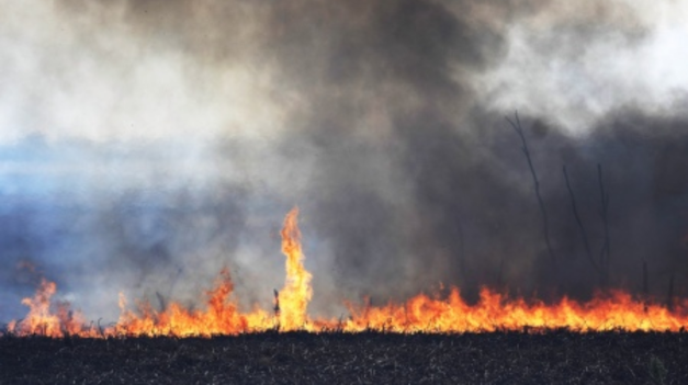 El incendio ocurrió en agosto de 2022 y afectó a 1.500 metros cuadrados.