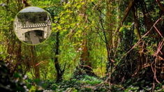 Esta joya escondida es una reserva natural que alberga una diversidad de paisajes. Esta joya escondida es una reserva natural que alberga una diversidad de paisajes.