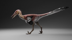 Paleontólogos de Argentina y Japón descubrieron una nueva especie de raptor.&nbsp;