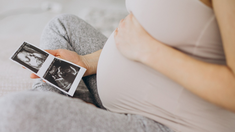 La Asignación Universal por Embarazo se puede tramitar desde Mi ANSES. La Asignación Universal por Embarazo se puede tramitar desde Mi ANSES.