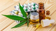 El Gobierno modificó los requisitos para inscribirse en el Reprocann. El Gobierno modificó los requisitos para inscribirse en el Reprocann.