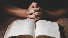 Lecturas para el 8 de Noviembre. Carta de San Pablo a Los Filipenses y Evangelio según San Lucas. Lecturas para el 8 de Noviembre. Carta de San Pablo a Los Filipenses y Evangelio según San Lucas.