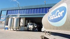 Crisis en la producción: SanCor solicitó el ingreso a un concurso preventivo de acreedores
