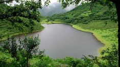 Turismo en Argentina: el espacio verde con unas lagunas soñadas que pocos conocen. Turismo en Argentina: el espacio verde con unas lagunas soñadas que pocos conocen.