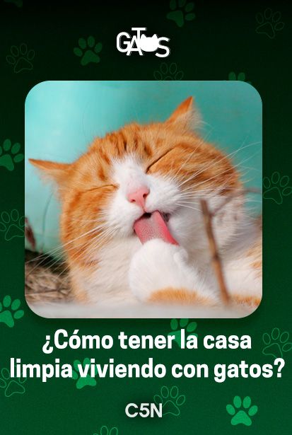 Tips simples para mantener la casa limpia y ordenada.