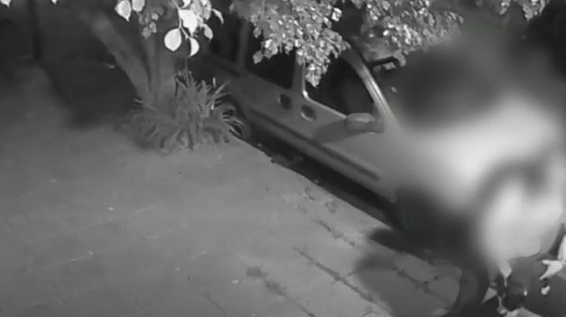 El acusado fue filmado mientras arrojaba los gatos a un baldío en San Isidro.