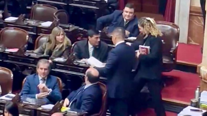 Lourdes Arrieta en la Cámara de Diputados con el libro&nbsp;Nunca Más﻿.