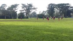 La víctima realizó la denuncia. La víctima realizó la denuncia.