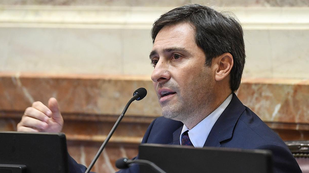 Martín Goerling, jefe del bloque del PRO en el Senado.