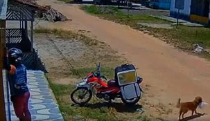 Un perro aprovechó la distracción de un repatidor de comida.&nbsp;