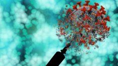 La vacuna vegetal utiliza plantas vivas como biorreactores. La vacuna vegetal utiliza plantas vivas como biorreactores.