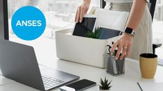 Qué es y cómo cobrar la Prestación por Desempleo de ANSES Qué es y cómo cobrar la Prestación por Desempleo de ANSES