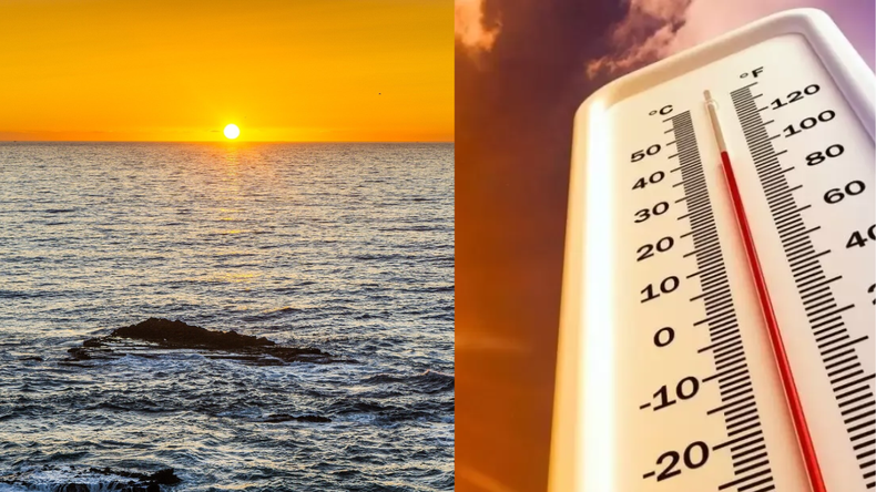 Calentamiento global: la superficie de los océanos alcanzaron una temperatura récord
