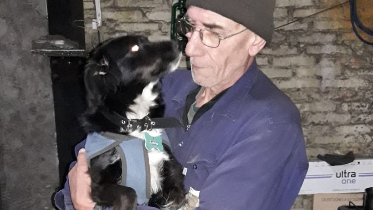 Caídos del sistema en la era Milei: un herrero y sus 5 perros están a días de quedar en la calle