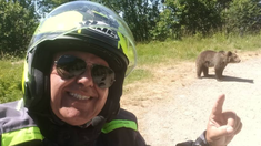 Las autoridades también indicaron que la cría de la osa fue sacrificada. Las autoridades también indicaron que la cría de la osa fue sacrificada.