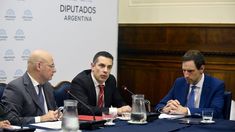 El viceministro Amerio ante las comisiones en Diputados.