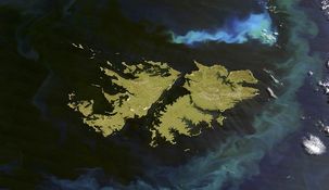 El 3 de enero se cumple un nuevo aniversario de la usurpación británica en las Islas Malvinas. El 3 de enero se cumple un nuevo aniversario de la usurpación británica en las Islas Malvinas.