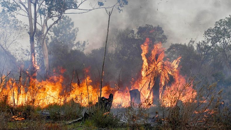 Corrientes: atrapan a un hombre cuando iniciaba un incendio forestal