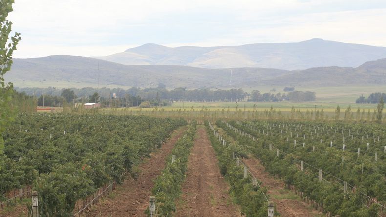 Este pueblo es sede de la Fiesta Provincial de la Vendimia.