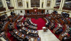 El texto sustitutorio del dictamen del Proyecto de Ley 6951 tuvo primera sanción.