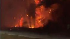 Las llamas son intensas en los bosques de Ezeiza. Las llamas son intensas en los bosques de Ezeiza.