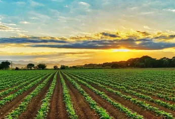 El oficialismo y la oposición buscan estrategias para salir de la crisis por la derogación de la Ley de Tierras.