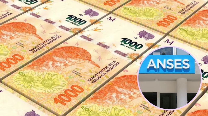 ANSES dio detalles sobre el bono de $55.000 para febrero 2024.