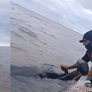 Según los especialistas la ballena se encuentra con vida.&nbsp;