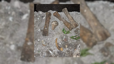 El hallazgo se produjo en una propiedad ubicada en la calle 150, entre 57 y 58.