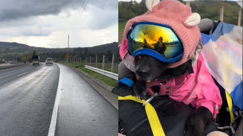 La viajera argentina que emocionó a todos con su perra a bordo de su moto.