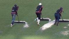 Los colaboradores quitan el agua con secadores. Los colaboradores quitan el agua con secadores.