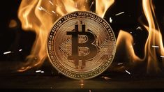 Bitcoin alcanzó varios hitos en los días posteriores a la victoria de Donald Trump en las elecciones estadounidenses. Bitcoin alcanzó varios hitos en los días posteriores a la victoria de Donald Trump en las elecciones estadounidenses.