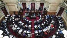 Ingresó al Senado el proyecto de reforma previsional.