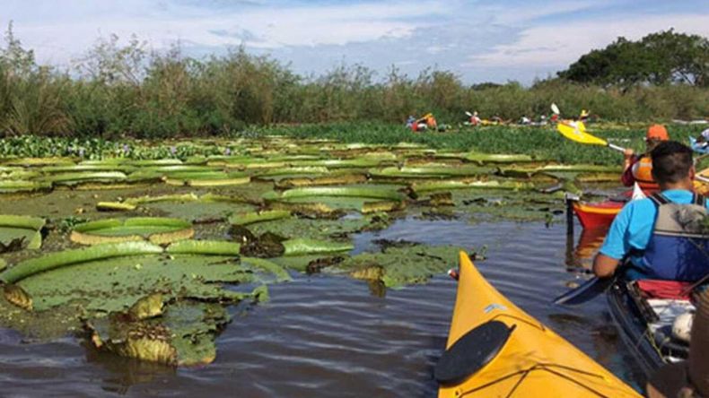 Argentina alberga tesoros naturales que cautivan los sentidos. Argentina alberga tesoros naturales que cautivan los sentidos.