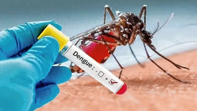 &nbsp;Los casos de dengue pueden complicarse y terminar en shocks hemorrágicos potencialmente mortales.