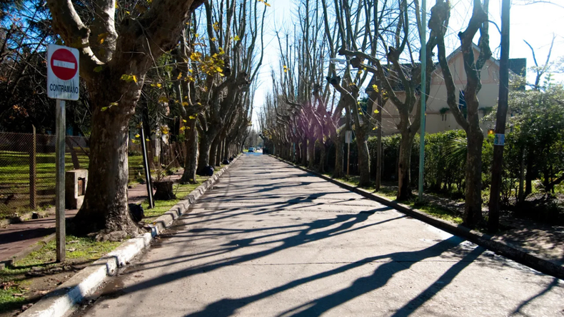 Villa Argentina es uno de los barrios más emblemáticos, destacándose por su estilo pintoresco y frondosa vegetación.