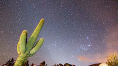 Amaicha del Valle invita a reconectar con la tierra, con las estrellas y con una cultura viva que invita a ser parte, aunque sea por una noche. Amaicha del Valle invita a reconectar con la tierra, con las estrellas y con una cultura viva que invita a ser parte, aunque sea por una noche.