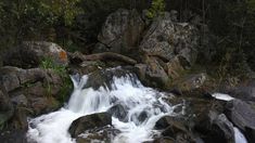 En Córdoba hay un hermoso pueblito para avistar aves y conectarse por completo con la naturaleza. En Córdoba hay un hermoso pueblito para avistar aves y conectarse por completo con la naturaleza.