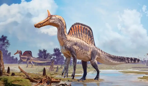 Este nuevo descubrimiento brinda más información sobre la especie.&nbsp;