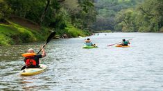 Campo Ramón combina naturaleza, cultura y turismo sostenible en el corazón de Misiones. Campo Ramón combina naturaleza, cultura y turismo sostenible en el corazón de Misiones.